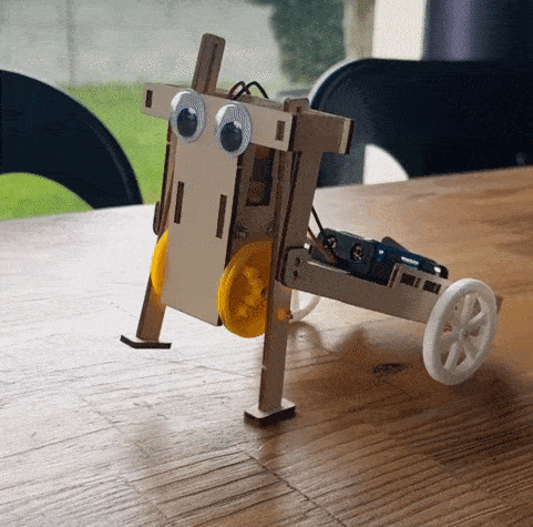 Abonnement Mensuel à la Bot Box Mystère