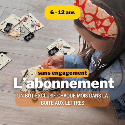 Abonnement Mensuel à la Bot Box Mystère