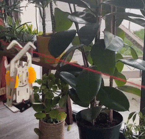 Abonnement Mensuel à la Bot Box Mystère